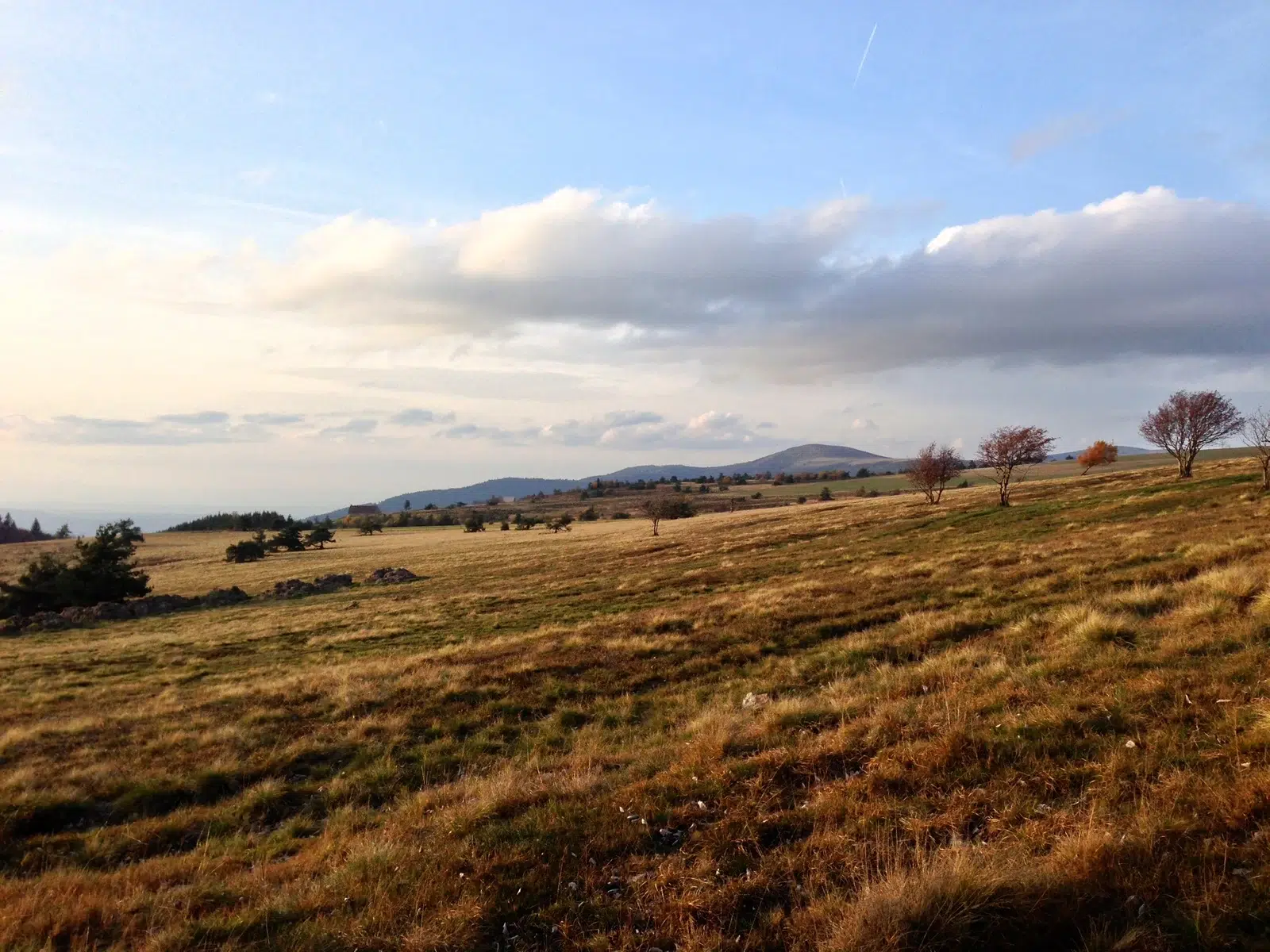 Col des Supeyres (Regionaal Natuurpark Livradois Forez) resultaat