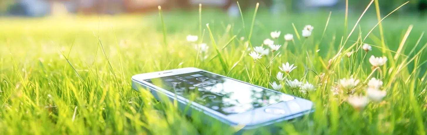 un telephone dans l'herbe au soleil