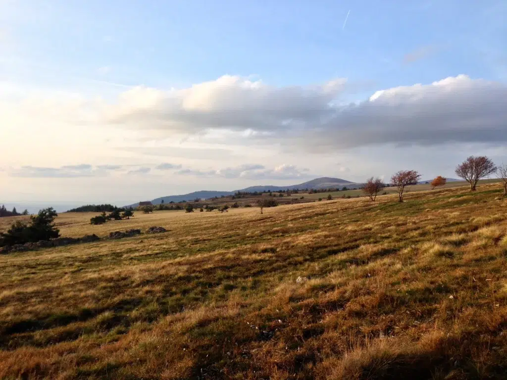 Col des Supeyres (Livradois Forez Regional Nature Park) result